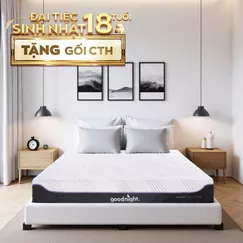 Nệm foam công nghệ Đức Goodnight Active Hybrid dày 20cm