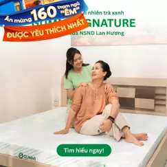 Nệm Gummi Signature – Công nghệ kép, nâng đỡ vượt trội, kháng khuẩn tối đa