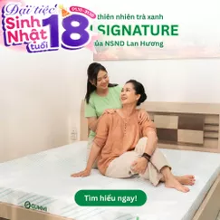 Nệm Gummi Signature – Công nghệ kép, nâng đỡ vượt trội, kháng khuẩn tối đa