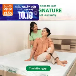 Nệm Gummi Signature – Công nghệ kép, nâng đỡ vượt trội, kháng khuẩn tối đa