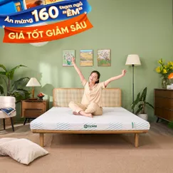 Nệm Gummi Signature – Công nghệ kép, nâng đỡ vượt trội, kháng khuẩn tối đa