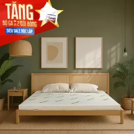 [Tặng bộ ga & 2 gối] Nệm cao su thiên nhiên Gummi Classic thế hệ mới dày 5/10/15cm