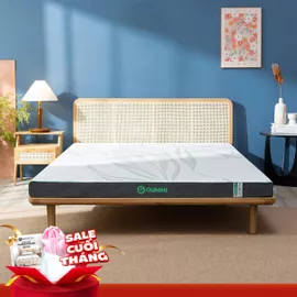 Nệm cao su thiên nhiên Gummi Premium detox giấc ngủ dày 10cm