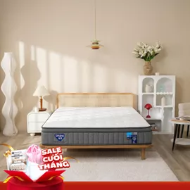 Nệm lò xo Spring Air Back Supporter Firm Cool nâng đỡ làm mát dày 26cm
