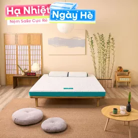 Nệm foam Nhật Bản Aeroflow Standard nâng đỡ cơ thể dày 12cm