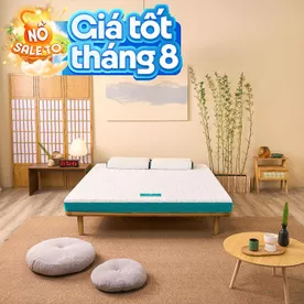 Nệm foam Nhật Bản Aeroflow Standard nâng đỡ cơ thể dày 12cm