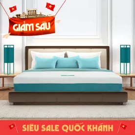 Nệm foam Nhật Bản Aeroflow Wave massage toàn diện dày 20cm