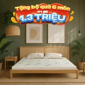 Nệm cao su thiên nhiên Gummi Classic thế hệ mới dày 5/10/15cm
