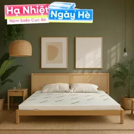 Nệm cao su thiên nhiên Gummi Classic thế hệ mới dày 5/10/15cm