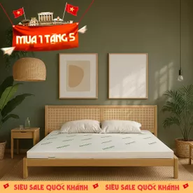 Nệm cao su thiên nhiên Gummi Classic thế hệ mới dày 5/10/15cm