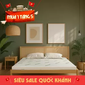 Nệm cao su thiên nhiên Gummi Classic thế hệ mới dày 5/10/15cm
