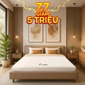 Nệm cao su Gummi 7zones nhập khẩu dày 12cm