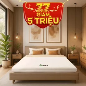 Nệm cao su Gummi 7zones nhập khẩu dày 12cm