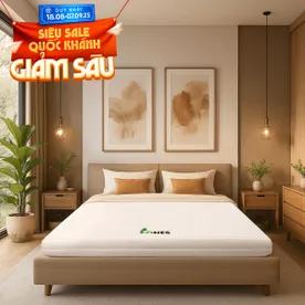Nệm cao su Gummi 7zones nhập khẩu dày 12cm