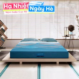 Nệm foam Nhật Bản Aeroflow Pride bảo vệ cột sống dày 22cm