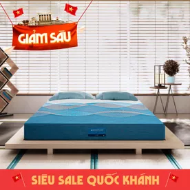 Nệm foam Nhật Bản Aeroflow Pride bảo vệ cột sống dày 22cm