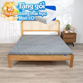 Nệm foam Goodnight Core (Akita) gấp 3 dày 8cm