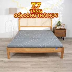 Nệm foam Goodnight Akita gấp 3 dày 8cm