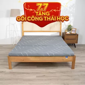 Nệm foam Goodnight Akita gấp 3 dày 8cm