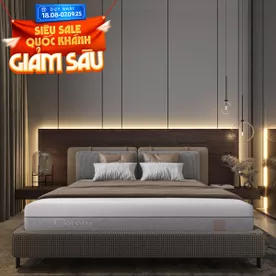 Nệm foam Comfy Lux 3.0 cao cấp tương thích toàn diện dày 25cm