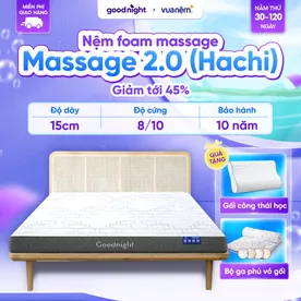 Nệm foam Goodnight Hachi giảm áp lực dày 15cm