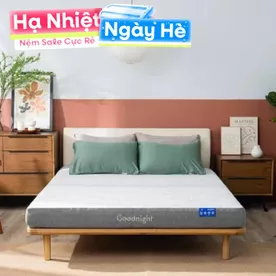 Nệm foam Goodnight Hachi giảm áp lực dày 15cm