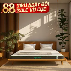 Nệm cao su thiên nhiên Gummi Premium detox giấc ngủ dày 10cm
