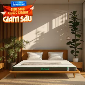 Nệm cao su thiên nhiên Gummi Premium detox giấc ngủ dày 10cm