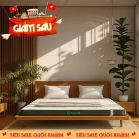 Nệm cao su thiên nhiên Gummi Premium detox giấc ngủ dày 10cm