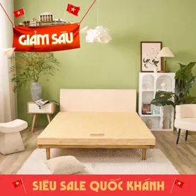 Nệm bông ép Wonjun Pure Carbon kháng khuẩn ưu việt dày 10cm gấp 2