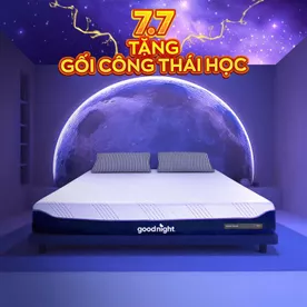 Nệm foam Goodnight Active Hybrid dày 20cm