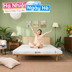 Nệm cao su thiên nhiên tinh chất trà xanh Gummi Signature