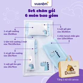 Bộ tấm trải trẻ em đi học Deepsleep Khủng Long TC001