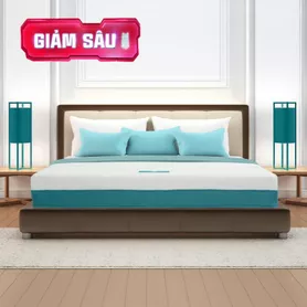 Nệm foam Nhật Bản Aeroflow Wave massage toàn diện dày 20cm