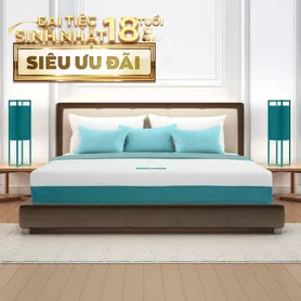 Nệm foam Nhật Bản Aeroflow Wave massage toàn diện dày 20cm