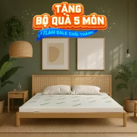 Nệm cao su thiên nhiên Gummi Classic thế hệ mới dày 5/10/15cm