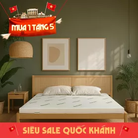 Nệm cao su thiên nhiên Gummi Classic thế hệ mới dày 5/10/15cm