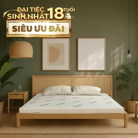Nệm cao su thiên nhiên Gummi Classic thế hệ mới dày 5/10/15cm
