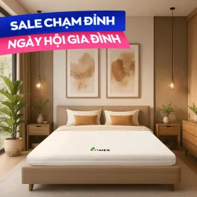 Nệm cao su Gummi 7zones nhập khẩu dày 12cm
