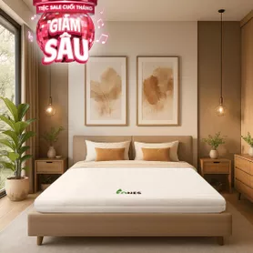 Nệm cao su Gummi 7zones nhập khẩu dày 12cm