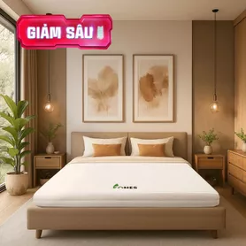 Nệm cao su Gummi 7zones nhập khẩu dày 12cm