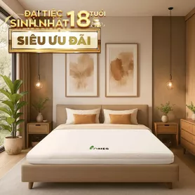 Nệm cao su Gummi 7zones nhập khẩu dày 12cm