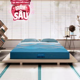 Nệm foam Nhật Bản Aeroflow Pride bảo vệ cột sống dày 22cm