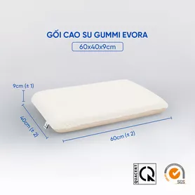 Gối cao su Gummi Evora 100% thiên nhiên massage thoáng khí