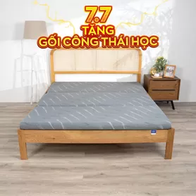 Nệm foam Goodnight Akita gấp 3 dày 8cm