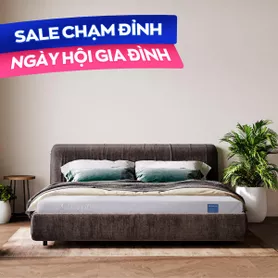 Nệm foam Comfy Cloud 1.0 thoáng khí vượt trội dày 12cm
