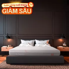 Nệm foam Comfy Lux 1.0 cao cấp kháng khuẩn kép dày 20cm