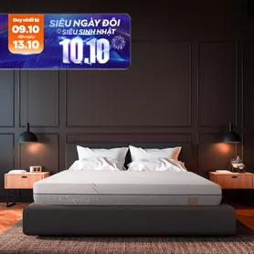 Nệm foam làm mát, kháng khuẩn nâng đỡ 5 vùng Comfy Lux 1.0