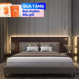Nệm foam Comfy Lux 3.0 cao cấp tương thích toàn diện dày 25cm
