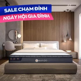 Nệm lò xo túi độc lập Amando Elite Plus giảm tiếng ồn dày 25cm